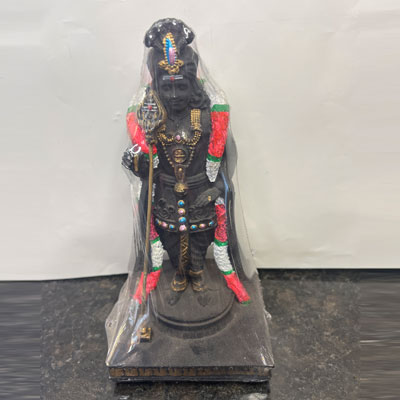 Black-murugan_