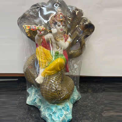 Vishnu-in-snake_