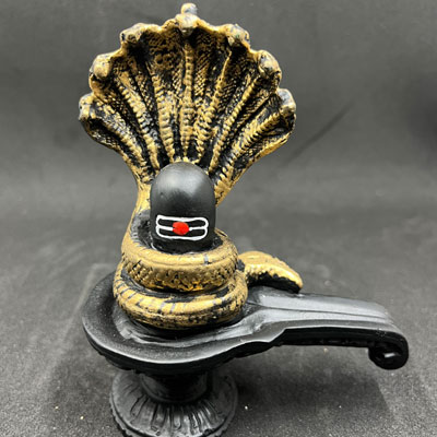 Lingam_(2)