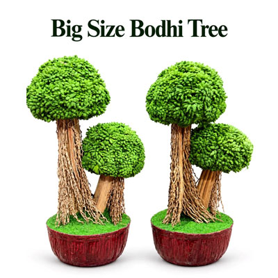 Big-Size-Bodhi-Tree-pair