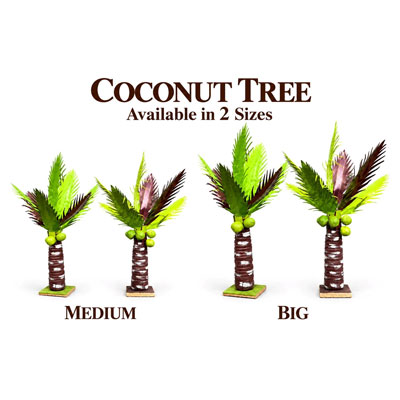 Coconut-Tree-Medium-and-Big