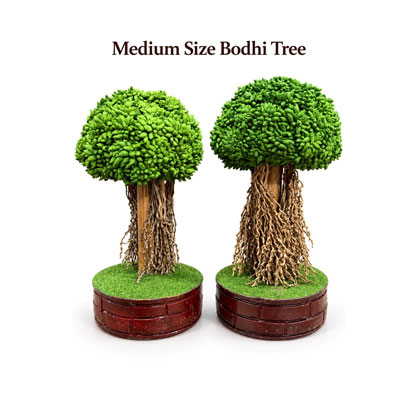 Medium-size-Bodhi-tree-pair
